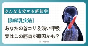 あなたの首こりや浅い呼吸、実はこの筋肉が原因かも？