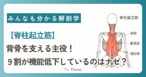 脊柱起立筋サムネイル