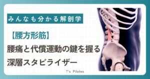 腰方形筋サムネイル