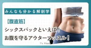 腹直筋サムネイル