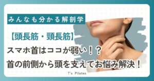 【頭長筋・頸長筋】スマホ首はココが弱い！？首の前側から頭を支えてお悩み解決！