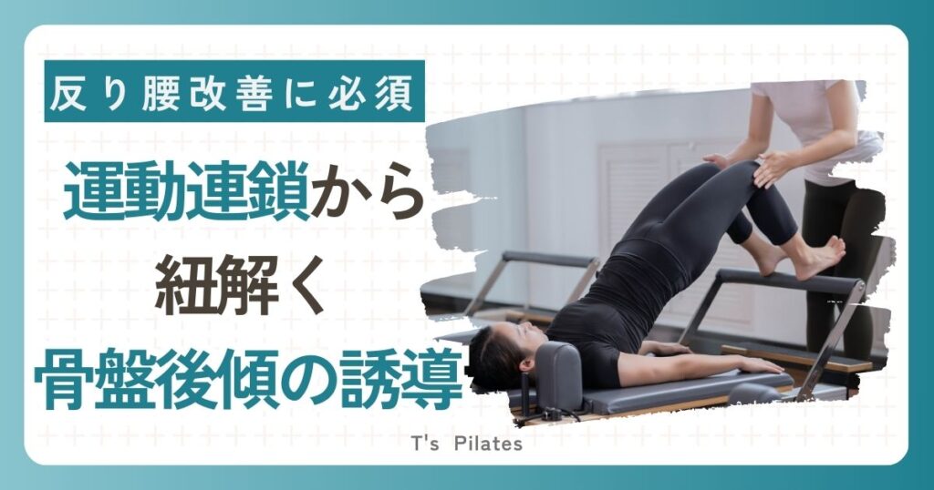 運動連鎖から紐解く骨盤後傾誘導