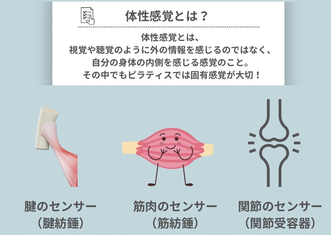体性感覚とは?