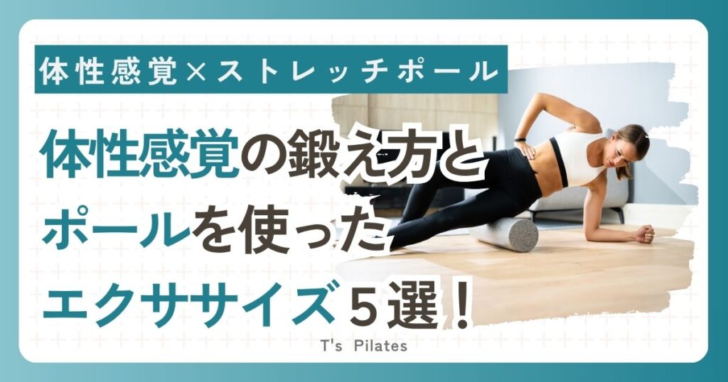 体性感覚×ストレッチポール