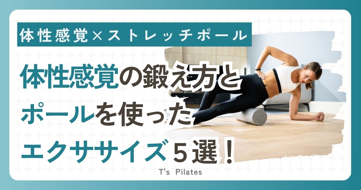 体性感覚×ストレッチポール