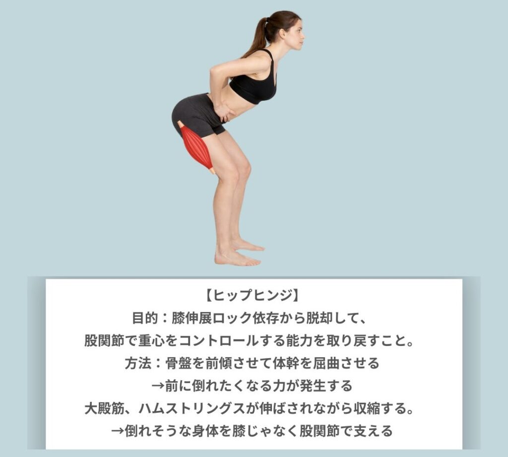反張膝エクササイズ ヒップヒンジ